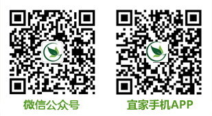 掃一掃關注更多